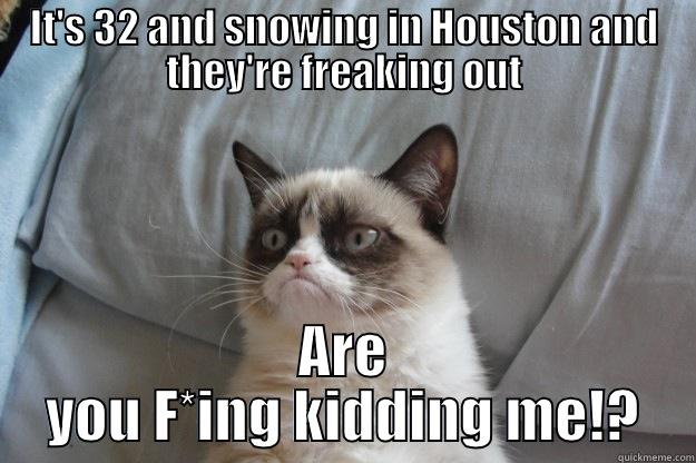 IT'S 32 AND SNOWING IN HOUSTON AND THEY'RE FREAKING OUT ARE YOU F*ING KIDDING ME!? Grumpy Cat