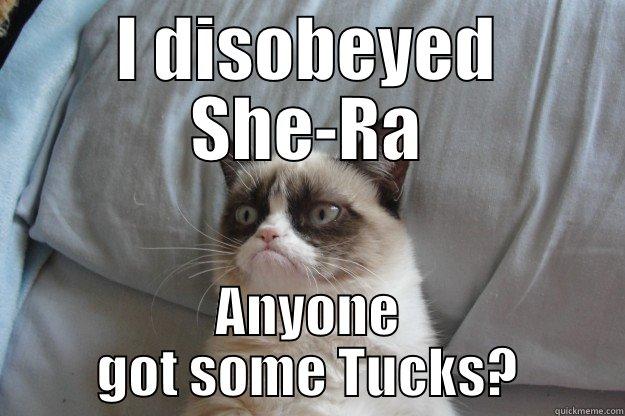 I DISOBEYED SHE-RA ANYONE GOT SOME TUCKS? Grumpy Cat