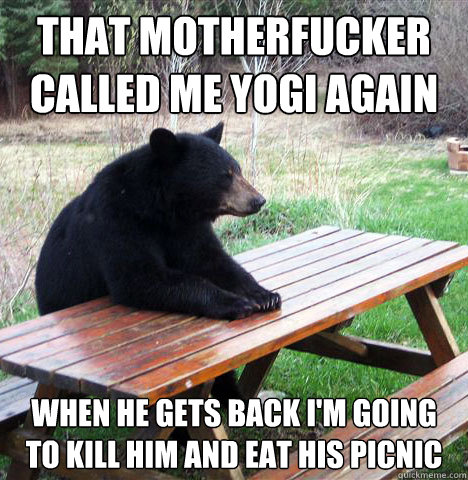 That motherfucker called me Yogi again When he gets back i'm going to kill him and eat his picnic  waiting bear