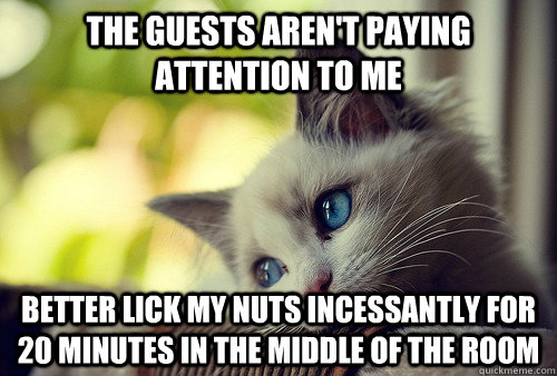 the guests aren't paying attention to me better lick my nuts incessantly for 20 minutes in the middle of the room  First World Problems Cat