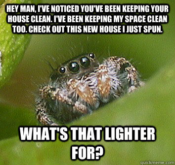 Hey man, I've noticed you've been keeping your house clean. I've been keeping my space clean too. Check out this new house I just spun. What's that lighter for?  Misunderstood Spider