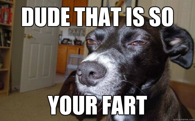 Dude that is so your fart  Skeptical Mutt