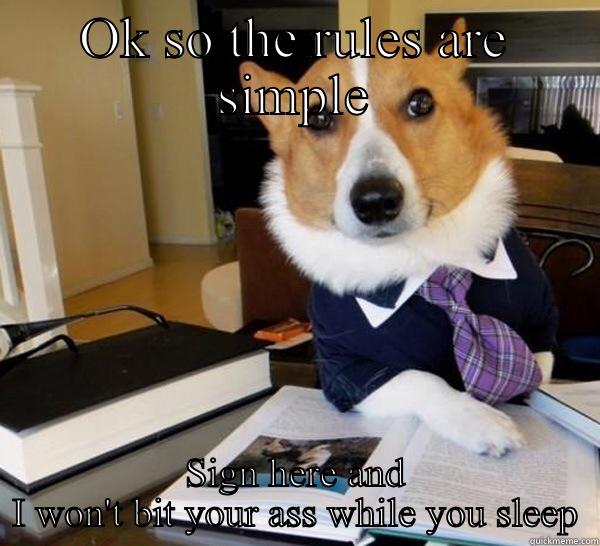 Just sign here - OK SO THE RULES ARE SIMPLE SIGN HERE AND I WON'T BIT YOUR ASS WHILE YOU SLEEP Lawyer Dog