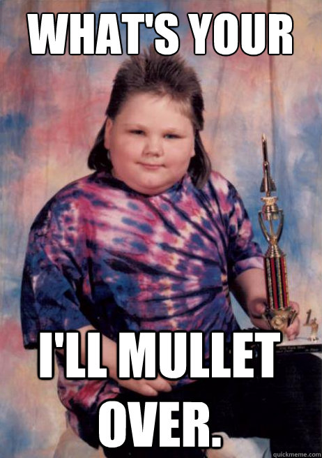 What's your question again? i'll mullet over.  
