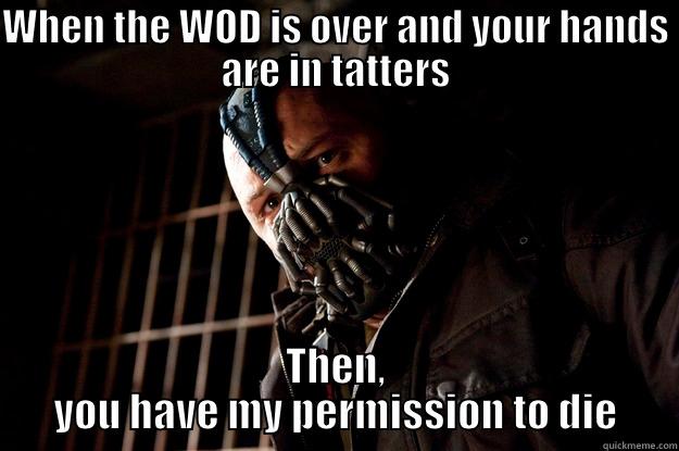 WHEN THE WOD IS OVER AND YOUR HANDS ARE IN TATTERS THEN, YOU HAVE MY PERMISSION TO DIE Angry Bane