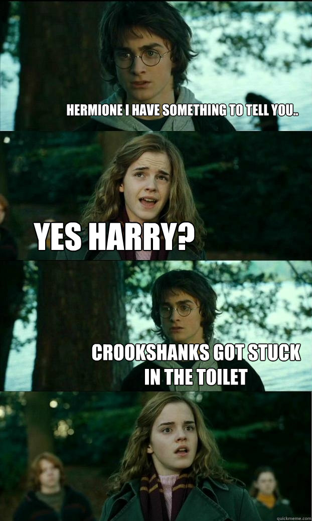 Hermione i have something to tell you.. Yes Harry? Crookshanks got stuck in the toilet  Horny Harry