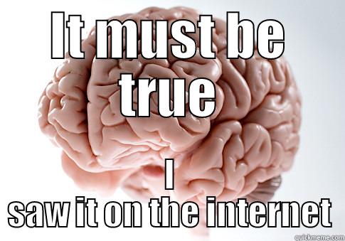 It must be true - IT MUST BE TRUE I SAW IT ON THE INTERNET Scumbag Brain