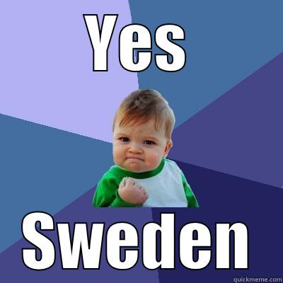 YES SWEDEN Success Kid