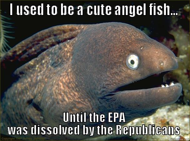 I USED TO BE A CUTE ANGEL FISH... UNTIL THE EPA WAS DISSOLVED BY THE REPUBLICANS Bad Joke Eel