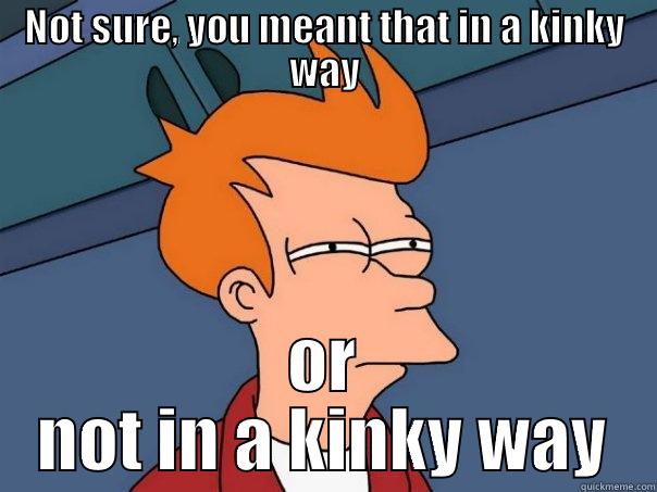 NOT SURE, YOU MEANT THAT IN A KINKY WAY OR NOT IN A KINKY WAY Futurama Fry