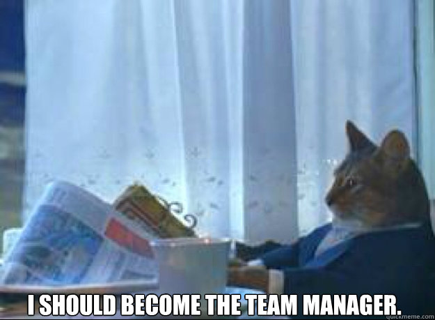 I should become the team manager.   I should buy a boat cat