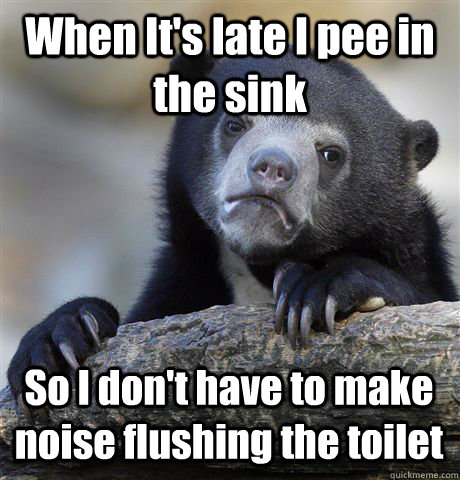 When It's late I pee in the sink So I don't have to make noise flushing the toilet  Confession Bear