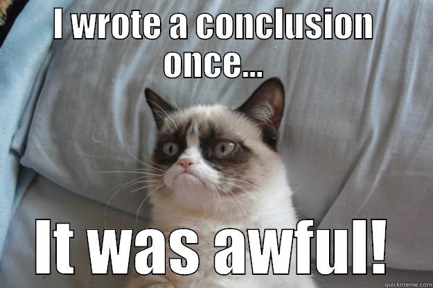 I WROTE A CONCLUSION ONCE... IT WAS AWFUL! Grumpy Cat