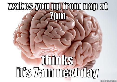 WAKES YOU UP FROM NAP AT 7PM THINKS IT'S 7AM NEXT DAY Scumbag Brain