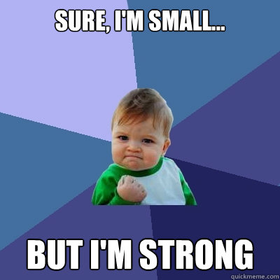 sure, i'm small... but i'm strong  Success Kid