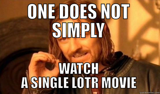 ONE DOES NOT SIMPLY WATCH A SINGLE LOTR MOVIE Boromir