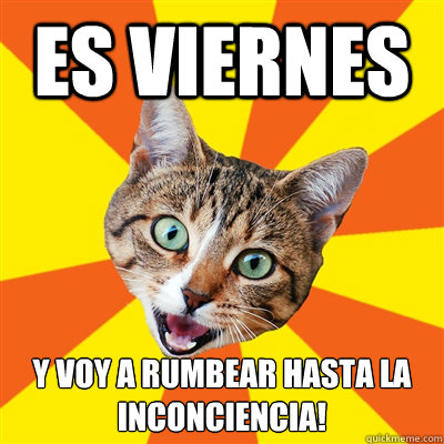 Es Viernes Y voy a rumbear hasta la inconciencia!  Bad Advice Cat