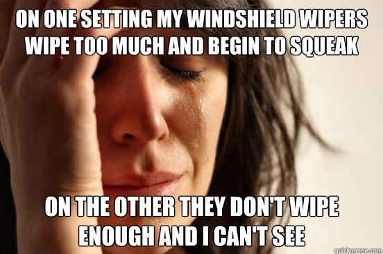 on one setting my windshield wipers wipe too much and begin to squeak on the other they don't wipe enough and I can't see - on one setting my windshield wipers wipe too much and begin to squeak on the other they don't wipe enough and I can't see  First World Problems