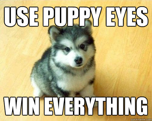 Use puppy eyes win everything  Baby Courage Wolf