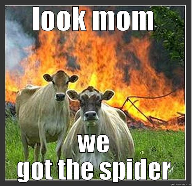 LOOK MOM WE GOT THE SPIDER Evil cows