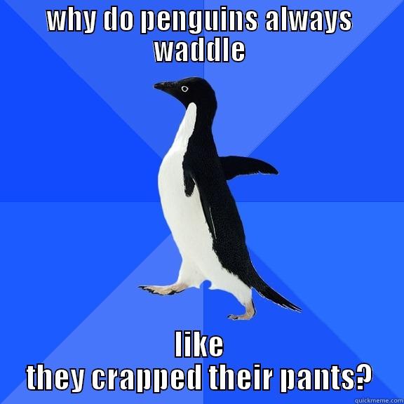 flipper kisser - WHY DO PENGUINS ALWAYS WADDLE LIKE THEY CRAPPED THEIR PANTS? Socially Awkward Penguin