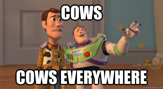 COWS COWS EVERYWHERE  Toy Story Everywhere