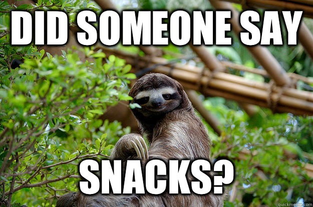 snacks the sloth