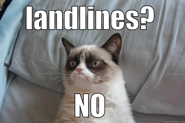 cant handle it res - LANDLINES? NO Grumpy Cat