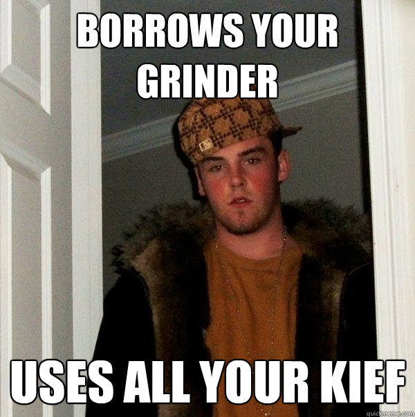 borrows your grinder uses all your kief  Scumbag Steve