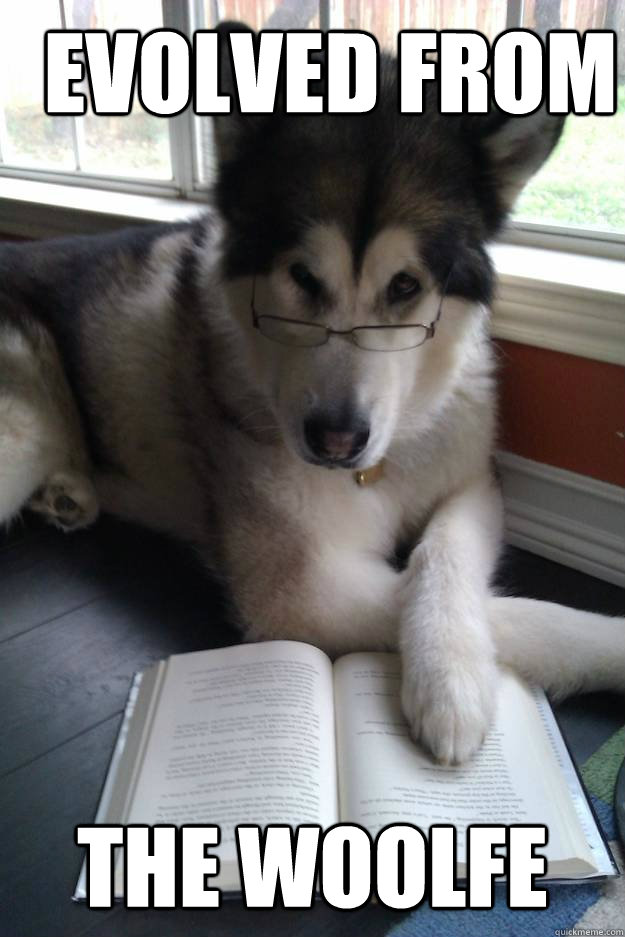 Evolved from the Woolfe  Condescending Literary Pun Dog