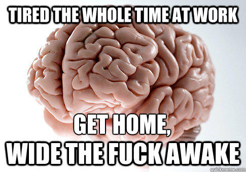 Tired the whole time at work wide the fuck awake Get home,  Scumbag Brain