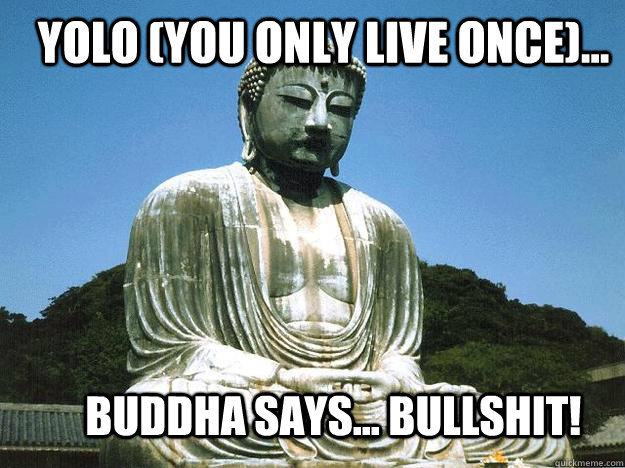 YOLO (You Only Live Once)... Buddha says... BULLSHIT!  Buddha