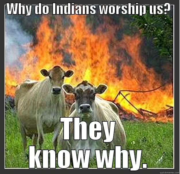   WHY DO INDIANS WORSHIP US?    THEY KNOW WHY. Evil cows