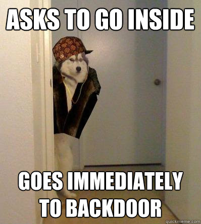 ASKS TO GO INSIDE
 GOES IMMEDIATELY TO BACKDOOR  Scumbag dog