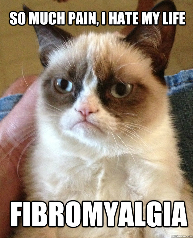 So much pain, I hate my life Fibromyalgia  Grumpy Cat