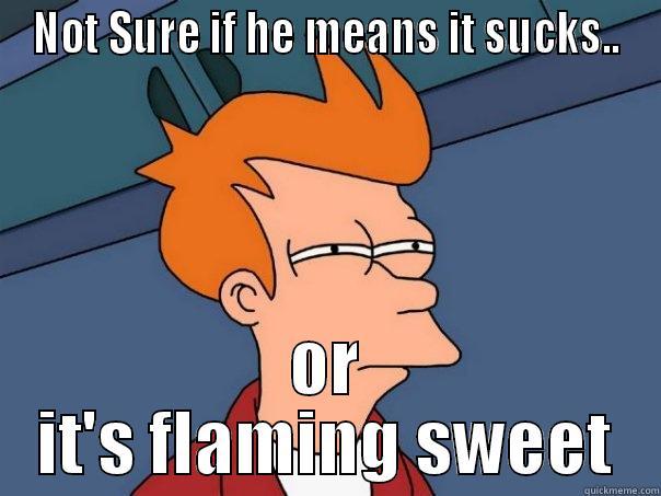 NOT SURE IF HE MEANS IT SUCKS.. OR IT'S FLAMING SWEET Futurama Fry