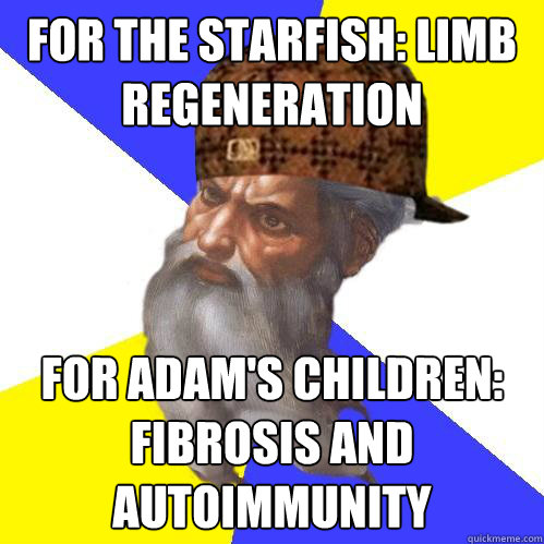 For the starfish: limb regeneration For Adam's children: fibrosis and autoimmunity  Scumbag God is an SBF