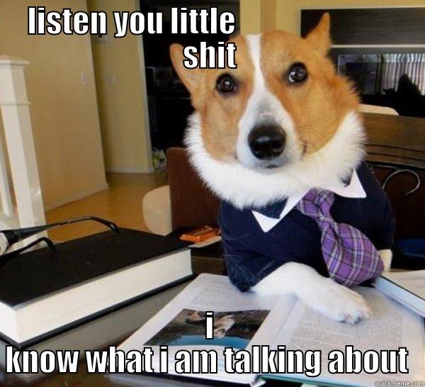 LISTEN YOU LITTLE                           SHIT I KNOW WHAT I AM TALKING ABOUT  Lawyer Dog