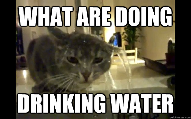 What are doing drinking water - What are doing drinking water  inefficient cat