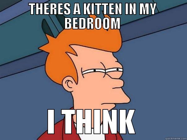 THERES A KITTEN IN MY BEDROOM I THINK Futurama Fry