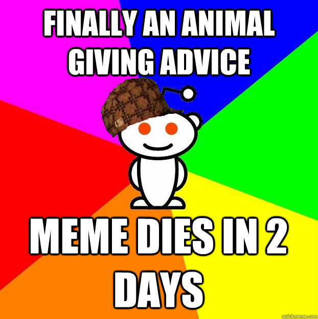 FINALLY AN ANIMAL GIVING ADVICE MEME DIES IN 2 DAYS  Scumbag Redditor