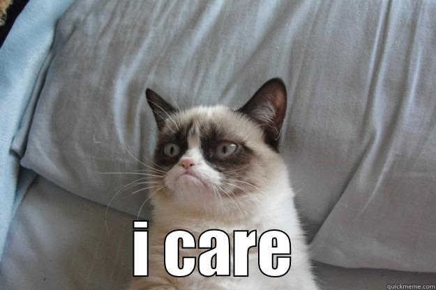 i care  -  I CARE Grumpy Cat