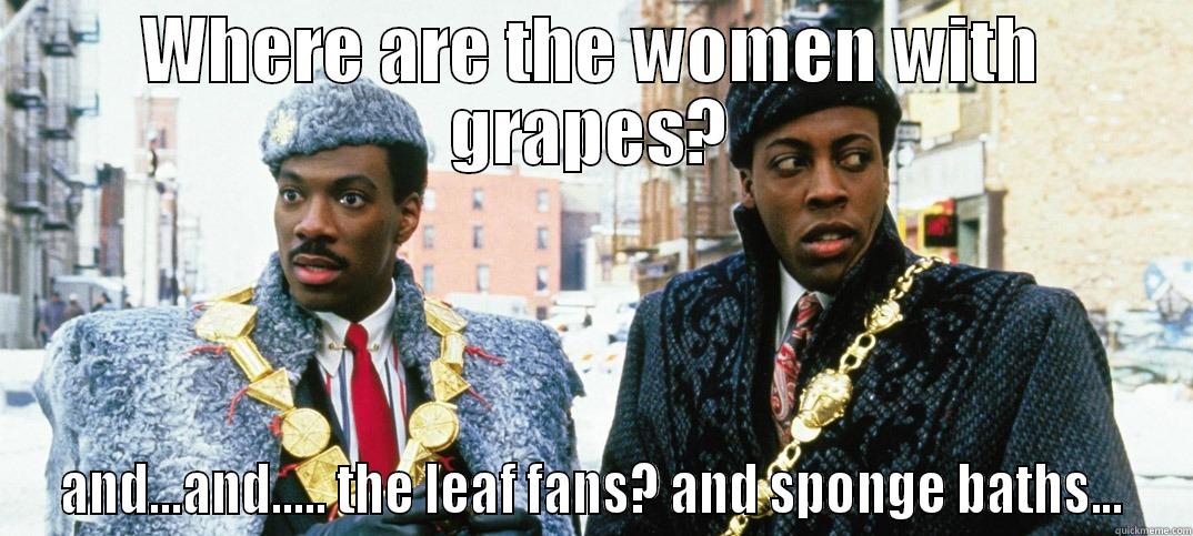 WHERE ARE THE WOMEN WITH GRAPES? AND...AND..... THE LEAF FANS? AND SPONGE BATHS... Misc