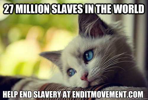 27 million slaves in the world help end slavery at enditmovement.com  First World Problems Cat