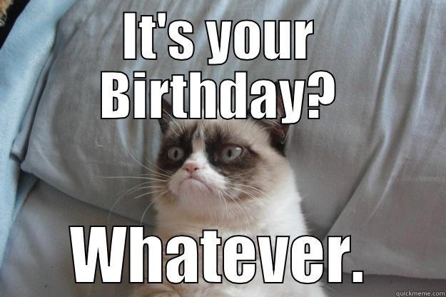 Whatever Birthday - IT'S YOUR BIRTHDAY? WHATEVER. Grumpy Cat