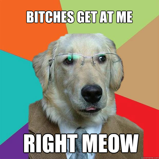 bitches get at me
 right MEOW  Business Dog