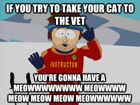 If you try to take your cat to the vet you're gonna have a MEOWWWWWWWW MEOWWWW MEOW MEOW MEOW MEOWWWWWW - If you try to take your cat to the vet you're gonna have a MEOWWWWWWWW MEOWWWW MEOW MEOW MEOW MEOWWWWWW  Youre gonna have a bad time