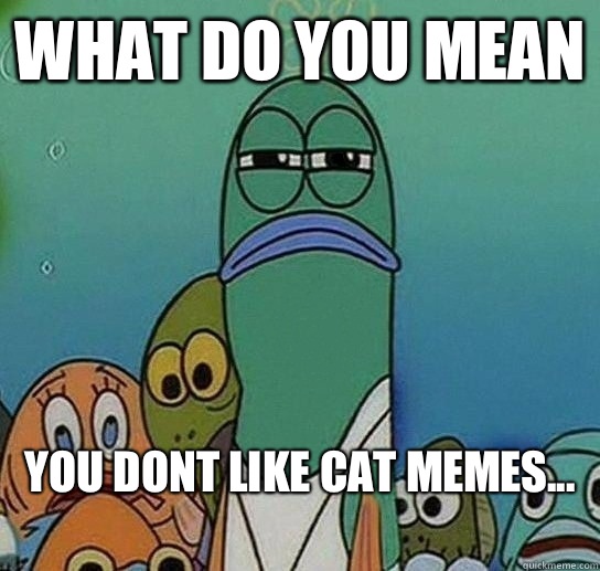 What do you mean you dont like cat memes...
 - What do you mean you dont like cat memes...
  Serious fish SpongeBob