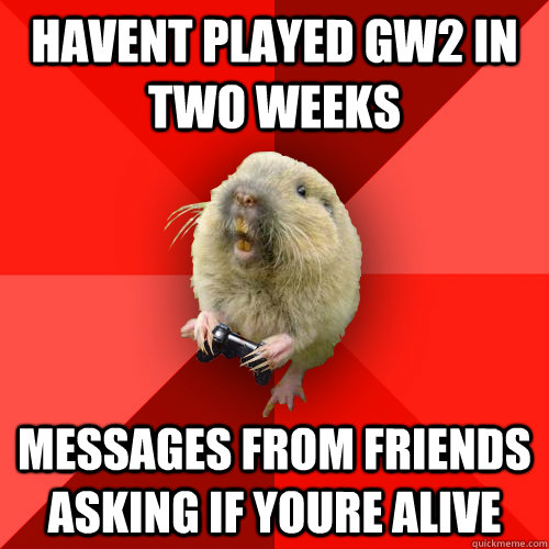 havent played GW2 in two weeks messages from friends asking if youre alive  Gaming Gopher