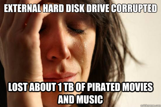 external hard disk drive corrupted lost about 1 TB of pirated movies and music  First World Problems